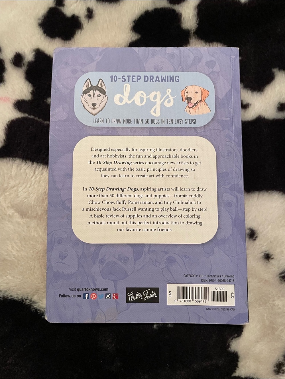 10 Step Drawing Dogs - Picture 3 of 5